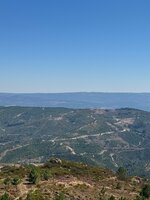 IMG_0945.jpeg