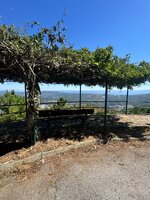 IMG_0947.jpeg