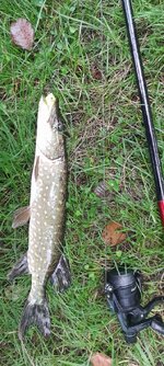 20260903_190036.jpg