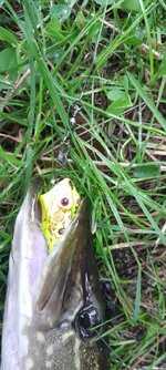 20260903_190041.jpg