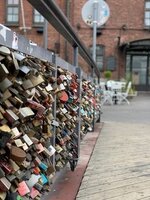 IMG_4199.jpeg