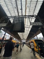 IMG_1003.jpeg