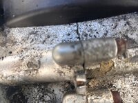 IMG_7384.jpeg