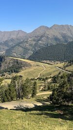 IMG_3216.jpeg