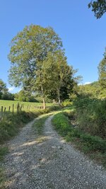 IMG_3171.jpeg