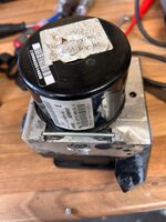 IMG_7395.jpeg