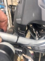 IMG_7422.jpeg