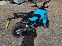 IMG_0543.jpeg