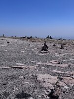 IMG_1083.jpeg
