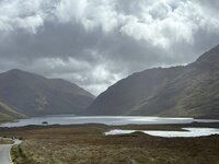 IMG_2559.jpeg IMG_2559.jpeg