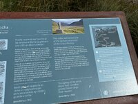 IMG_2562.jpeg IMG_2562.jpeg