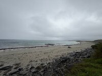 IMG_6632.jpeg