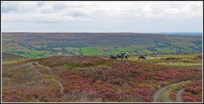 BT2026-NuttersOnTheMoors.jpg BT2026-NuttersOnTheMoors.jpg