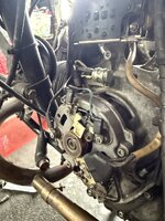 IMG_1022.jpeg