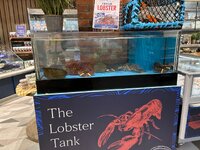 IMG_2591.jpeg IMG_2591.jpeg