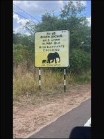 IMG_0467.jpg IMG_0467.jpg