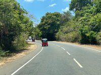 IMG_0878.jpeg