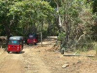 IMG_0895.jpeg