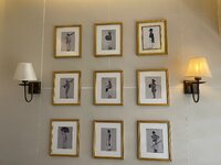 IMG_0903.jpeg