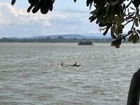 IMG_0919.jpeg