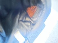 IMG_1858.jpeg