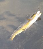 20260908_191548.jpg 20260908_191548.jpg