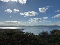 IMG_2592.jpeg