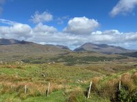 IMG_2597.jpeg