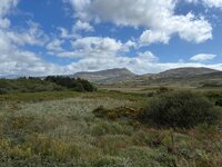 IMG_2600.jpeg