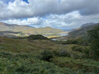 IMG_2602.jpeg