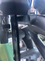 IMG_7489.jpeg