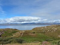 IMG_2626.jpeg