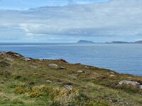 IMG_2628.jpeg