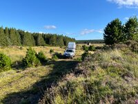IMG_1935.jpeg