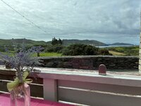 IMG_2638.jpeg