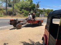 IMG_0949.jpeg