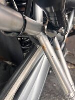 IMG_7504.jpeg