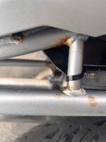 IMG_7503.jpeg