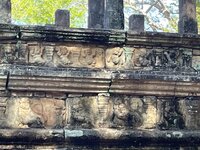 IMG_1037.jpeg