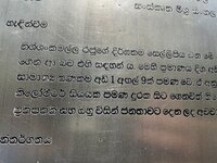 IMG_1042.jpeg