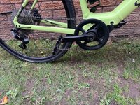 IMG_8962.jpeg