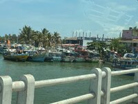 IMG_1188.jpeg
