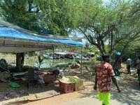 IMG_1195.jpeg