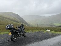 IMG_3200.jpeg IMG_3200.jpeg