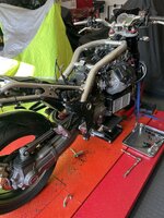 IMG_0743.jpeg IMG_0743.jpeg