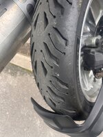 IMG_7533.jpeg IMG_7533.jpeg
