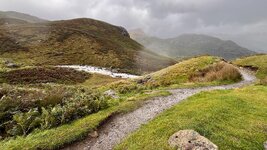 IMG_2637.jpg