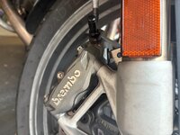 IMG_5089.jpeg