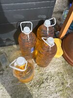 IMG_7547.jpeg