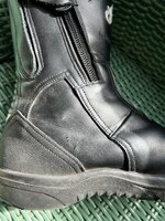 IMG_4271.jpeg